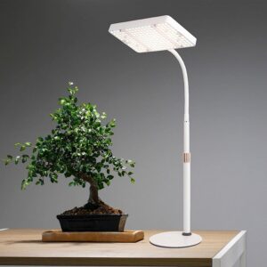 JINHONGTO Desk LED Grow Light
