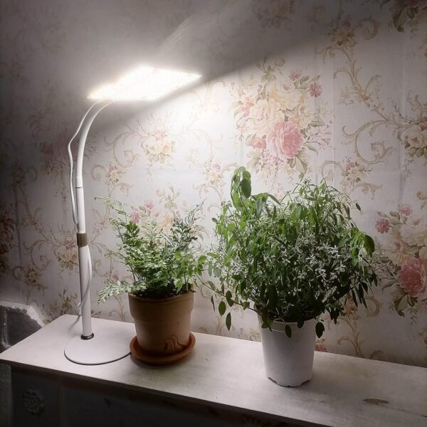 JINHONGTO 2Pack Desk LED Grow Light - Image 2