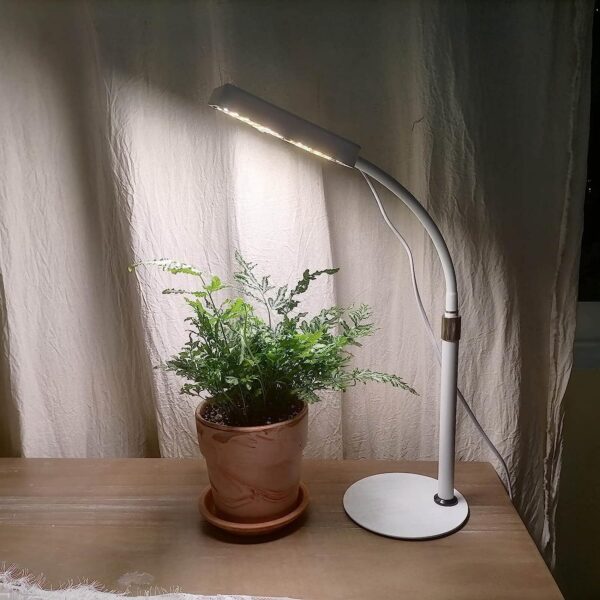 JINHONGTO 2Pack Desk LED Grow Light - Image 7